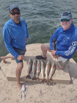 Drifting Laguna Madre for Pigs