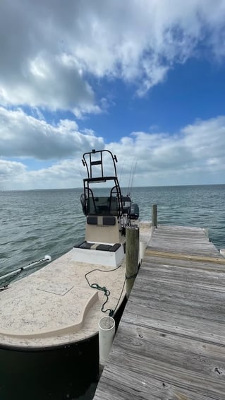 Drifting Laguna Madre for Pigs