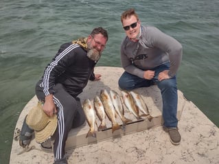 Drifting Laguna Madre for Pigs