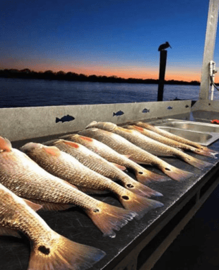 POC - 25’ Long Beach Custom