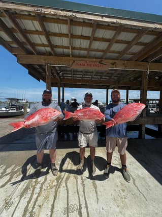 Bayous and Backwaters - 24’ Triton