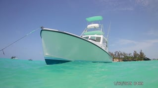 Bermuda Bluewater Excursion