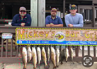 Aransas Pass Wade or Drift