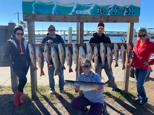 Aransas Pass Wade or Drift