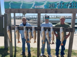 Aransas Pass Wade or Drift