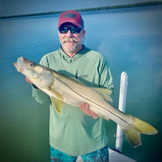 Florida Snook, Jacks, and Reds