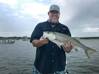 Half Day Striper Trip