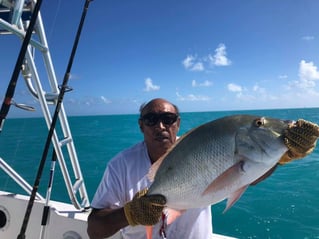 Ocean Thrills with Captain Don