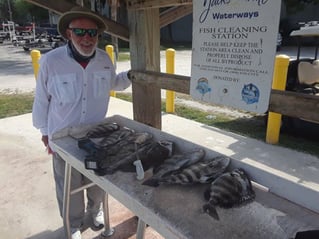 Black Drum, Sheepshead Fishing in Jacksonville, Florida