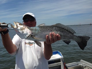 Epic Jacksonville Jetty Trip / 6 hr.