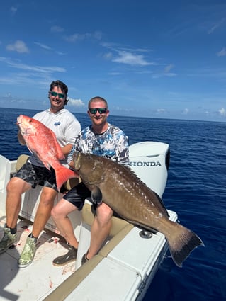 Big Fish in Fort Myers