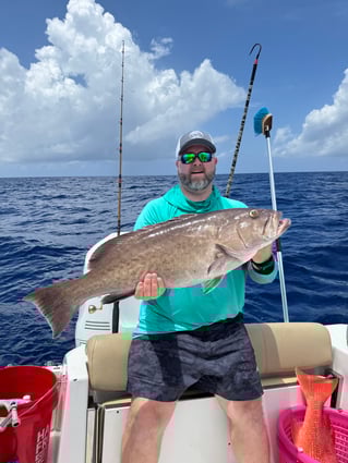 Big Fish in Fort Myers