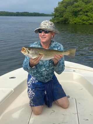 Bountiful Backwaters of Sarasota