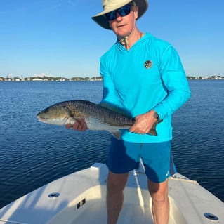 Bountiful Backwaters of Sarasota