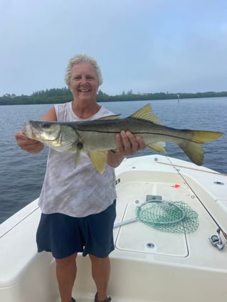 Bountiful Backwaters of Sarasota