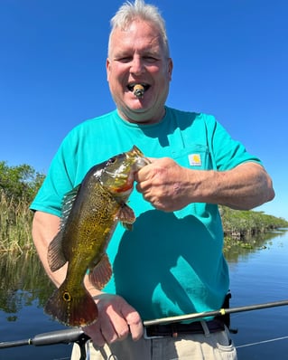 Everglades Freshwater Special