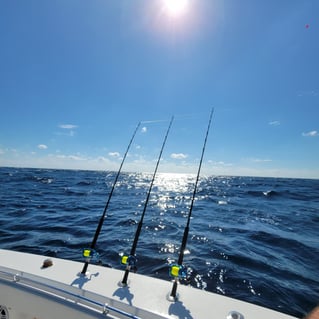 4-8 Hours Fishing Trip