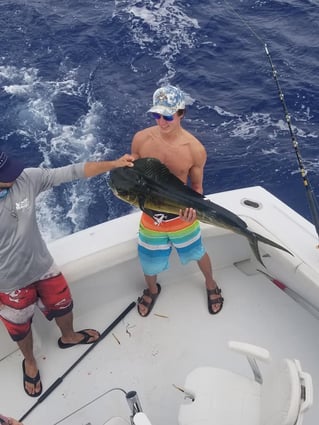 Half Day with Captain Scott