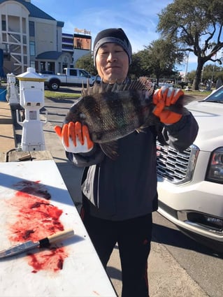 Half Day Inshore Fishing