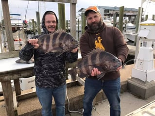 Half Day Inshore Fishing