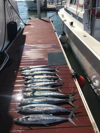 Fishing Special - 26’ C-Hawk