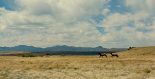 Vermejo Reserve Premier Fly Fishing