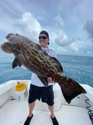 Black Grouper Fishing in Marathon, Florida