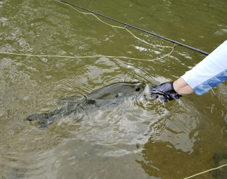 On Water Fly Fishing Lessons