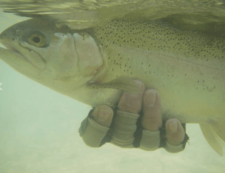 On Water Fly Fishing Lessons
