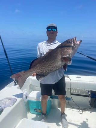 Chasing Deep Water Giants