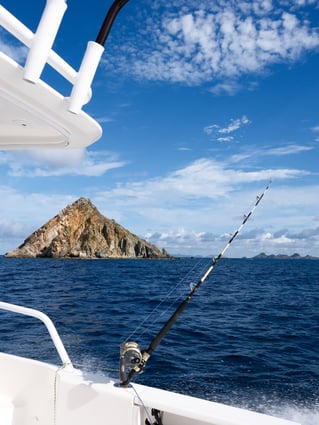 Luxury Offshore Adventure