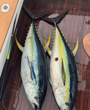 Kona Big Game Fishing - 31’ Bertram
