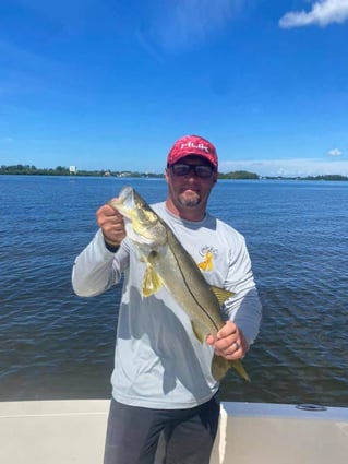 Snook Fishing in Sarasota, Florida