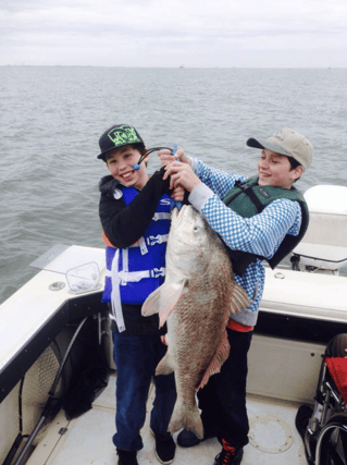 Black Drum Fishing in Galveston, Texas