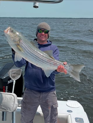 Inshore Spring/Summer Trip