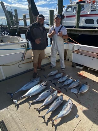 Cricket II - The JAWS boat