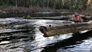 Crooked River Fly Fishing