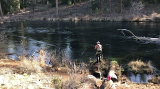 Crooked River Fly Fishing