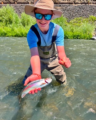 Deschutes River Rainbows