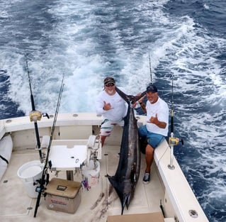 Maui Sportfishing