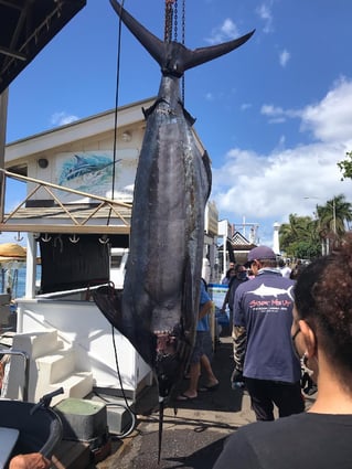 Maui Sportfishing