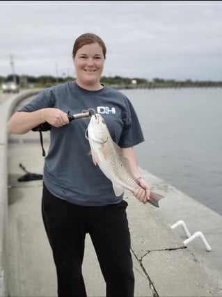 Gulfport Surf Fishing Trip