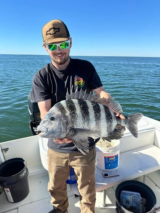 Jacksonville Quick Trip