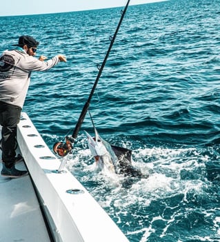 Fort Pierce Offshore Ripper