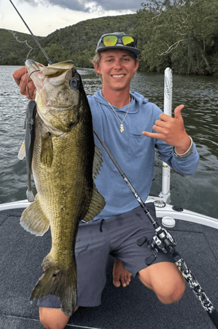 Big Swim Baits for Big A** Bass