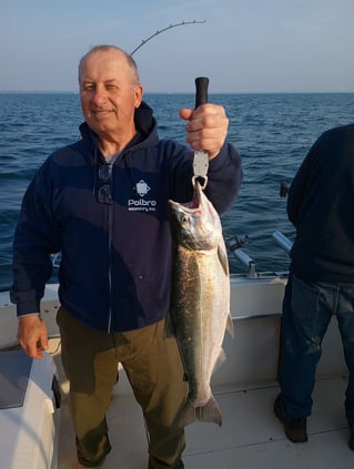 Kings, Coho, & Big Ol' Lake Trout