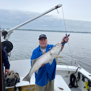 Striper Trolling Trip