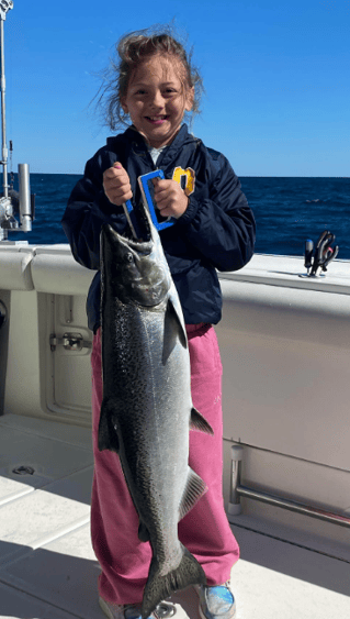 Luxury Lake Michigan Trout & Salmon