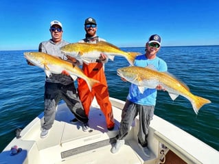 Sunny Fishing on Tampa Bay