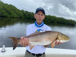 Sunny Fishing on Tampa Bay